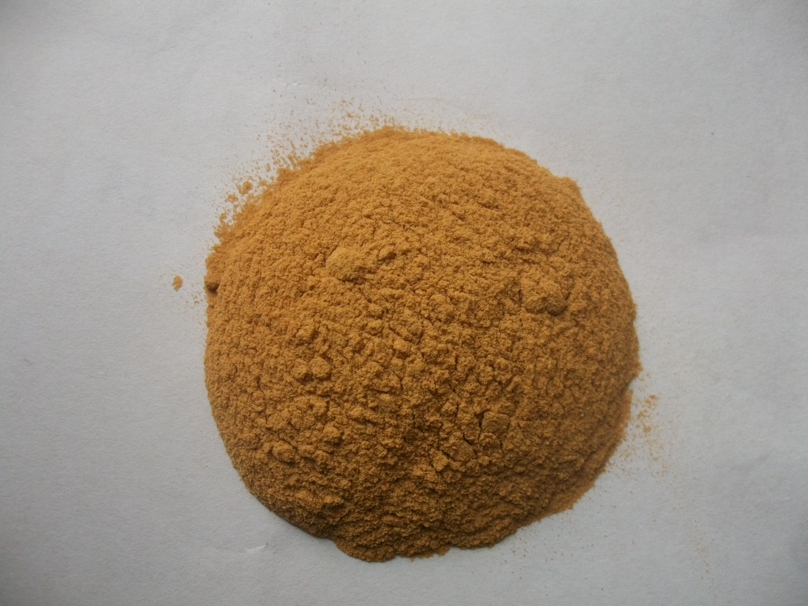 100% Natural Peach kernel extract Powder Certified 4:1-20:1