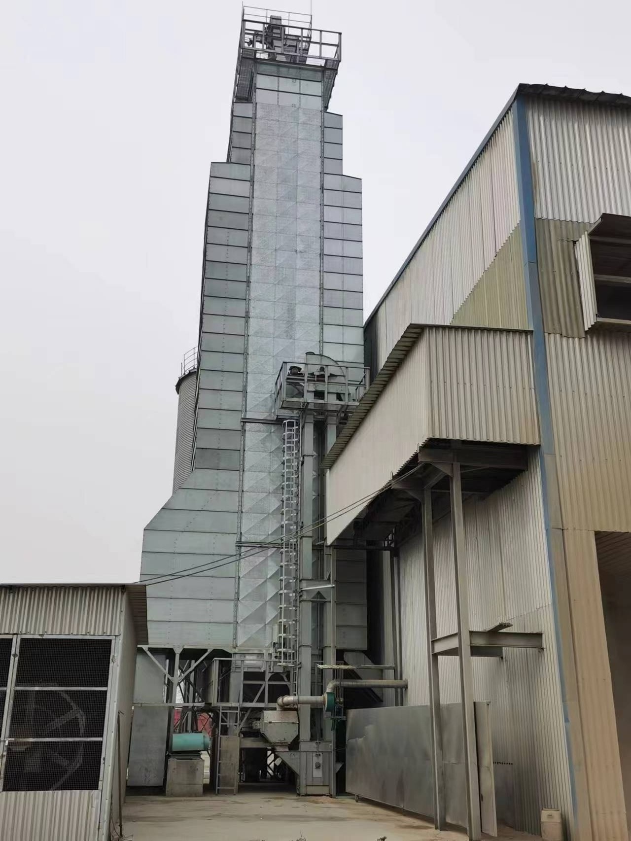 China grain dryer machine continuous seed flow grain dryer for sale