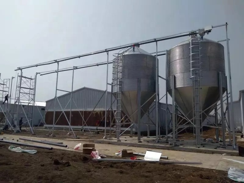 2.7 Ton To 33.5 Ton  Farm Poultry Breeding Feed Silos Chicken Goose Feed Small Steel  Silos