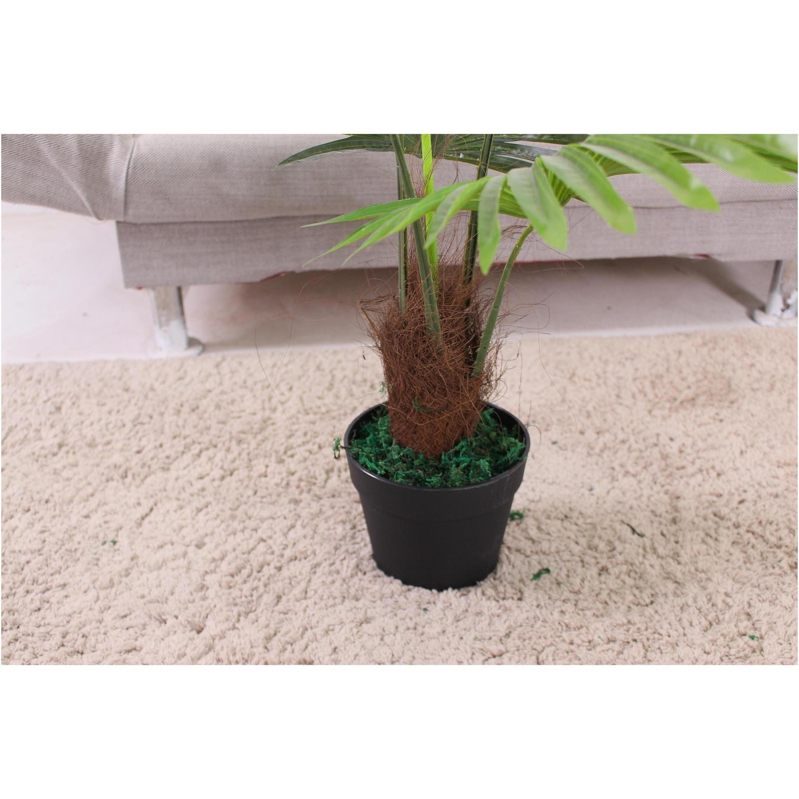 Artificial Plants Tree Oem/Odm Wrist Corsage New Fashion Decorative Coconut Palm Big Plant Artificial Home Decor