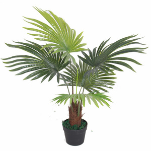 Artificial Plants Tree Oem/Odm Wrist Corsage New Fashion Decorative Coconut Palm Big Plant Artificial Home Decor