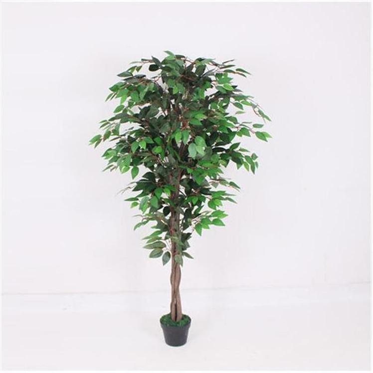 Artificial Plants And Flowers Indoor New Arrivals Popular Faux Big Clearance Wholesale Olive Low Price Artificial Mangrove Tree