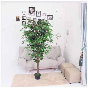 Artificial Plants And Flowers Indoor New Arrivals Popular Faux Big Clearance Wholesale Olive Low Price Artificial Mangrove Tree