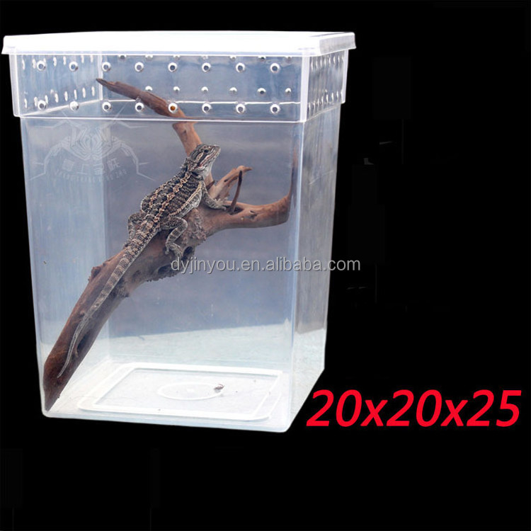 PP Reptile box Spider lizard chameleon ciliated horn keep palace Tree frog Wolf bead enclosure shell pet carrier