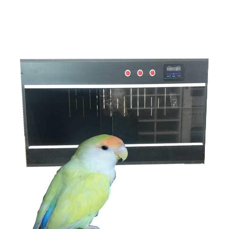 New pet supplies PVC smart digital temperature control 80*40*40cm reptile pet carrier Long beard dragon ciliary horn feed box