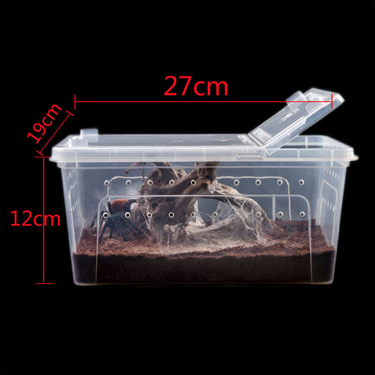 PP Plastic Reptile Box Travel Habitat Feeding cage Spider Horn Frog Leopard gecko lizard snake insect turtle pet cage enclosure