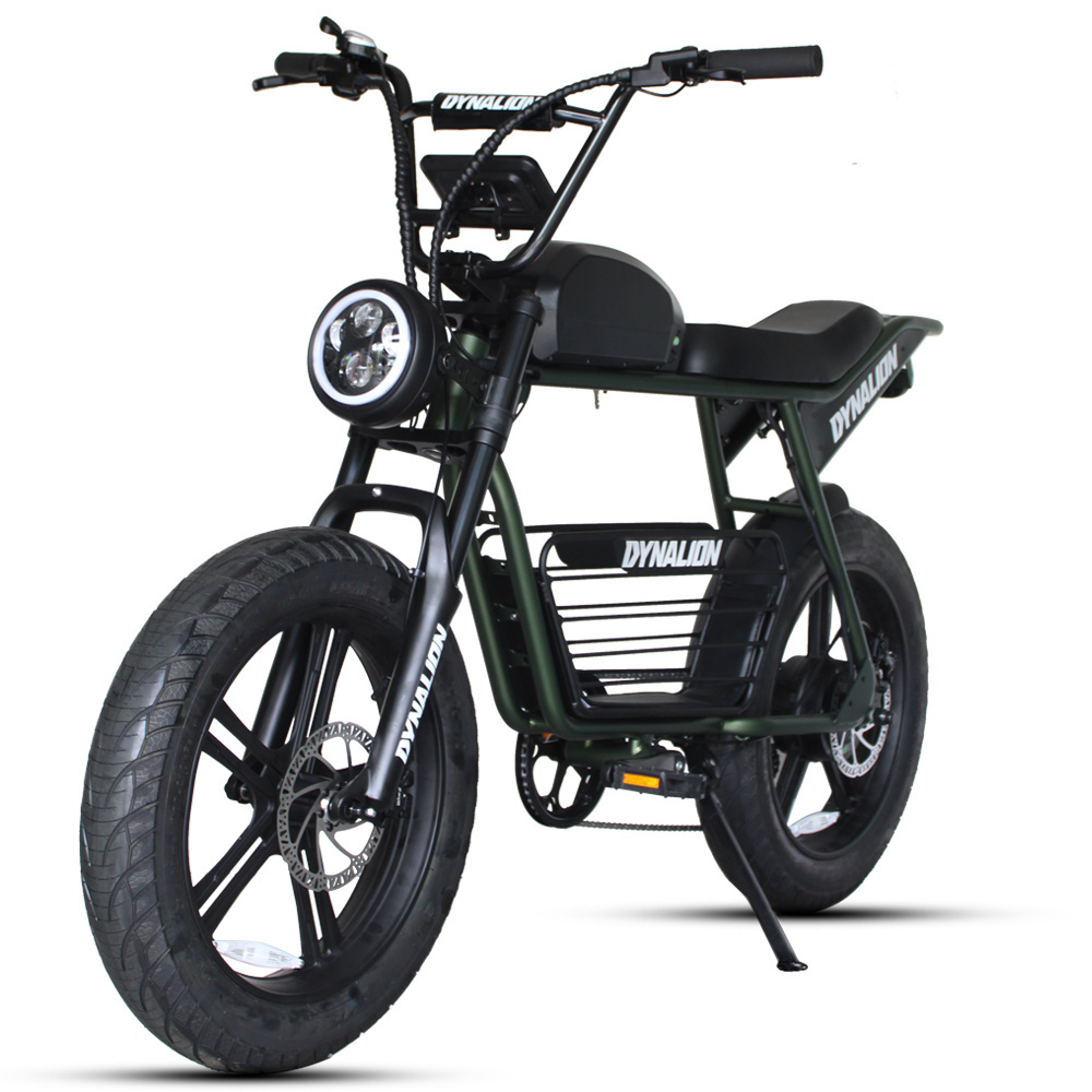 48v 1000w Electric Cycle Retro Electric Hybrid Bike E-Bike Road Fat Tire E Bike Ebike Mountain Electric Dirt Bike