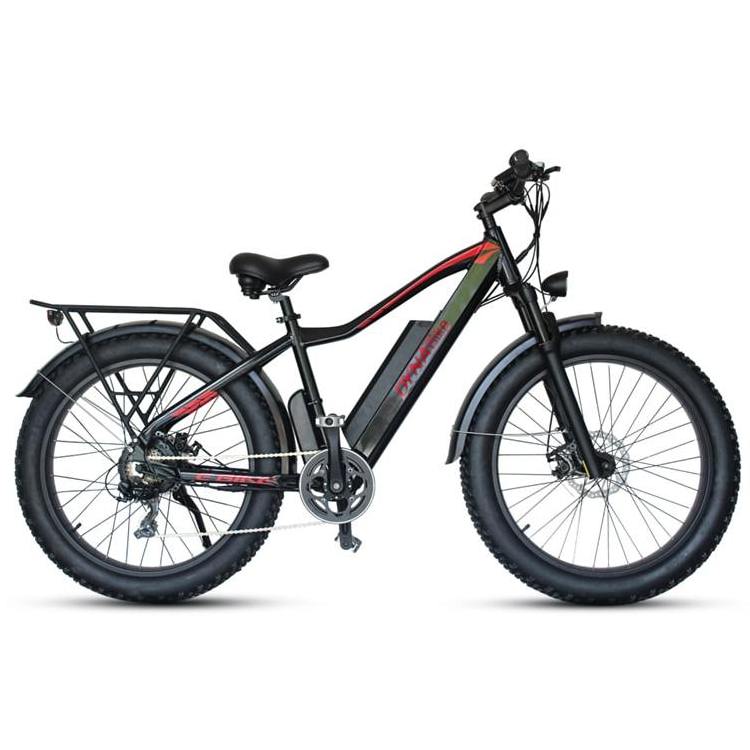 48v 750w 1000w Cheap Price Mountain Fat Tire Electric Dirt Bike 2 Seat Electric Bike Bicycle Electric