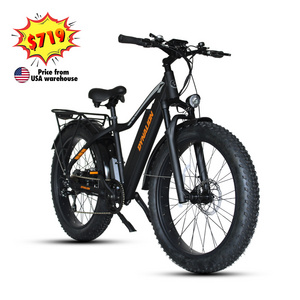 48v 750w 1000w Cheap Price Mountain Fat Tire Electric Dirt Bike 2 Seat Electric Bike Bicycle Electric