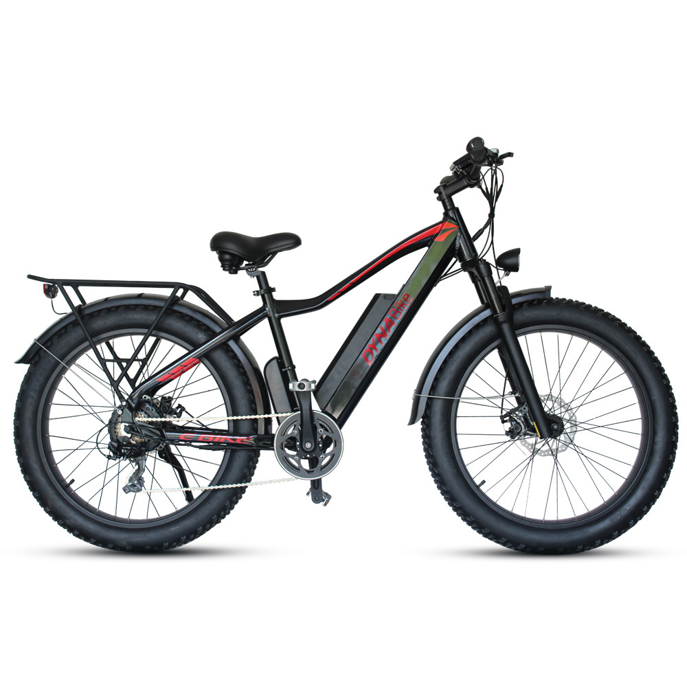 Stock Factory Supply Electric Mountainbike 29 Inch 750W Fat Tire Electric Bike