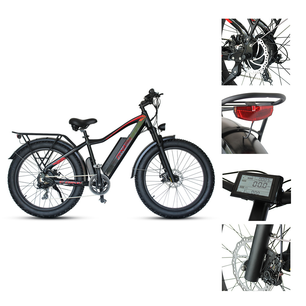 Stock Factory Supply Electric Mountainbike 29 Inch 750W Fat Tire Electric Bike