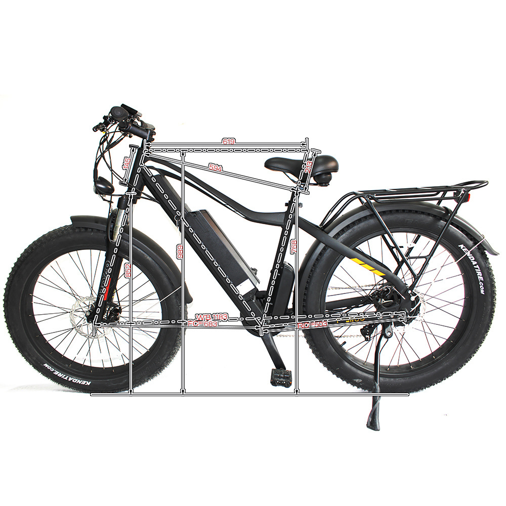 Stock Factory Supply Electric Mountainbike 29 Inch 750W Fat Tire Electric Bike