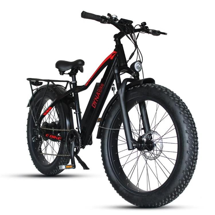 48v 750w 1000w Cheap Price Mountain Fat Tire Electric Dirt Bike 2 Seat Electric Bike Bicycle Electric