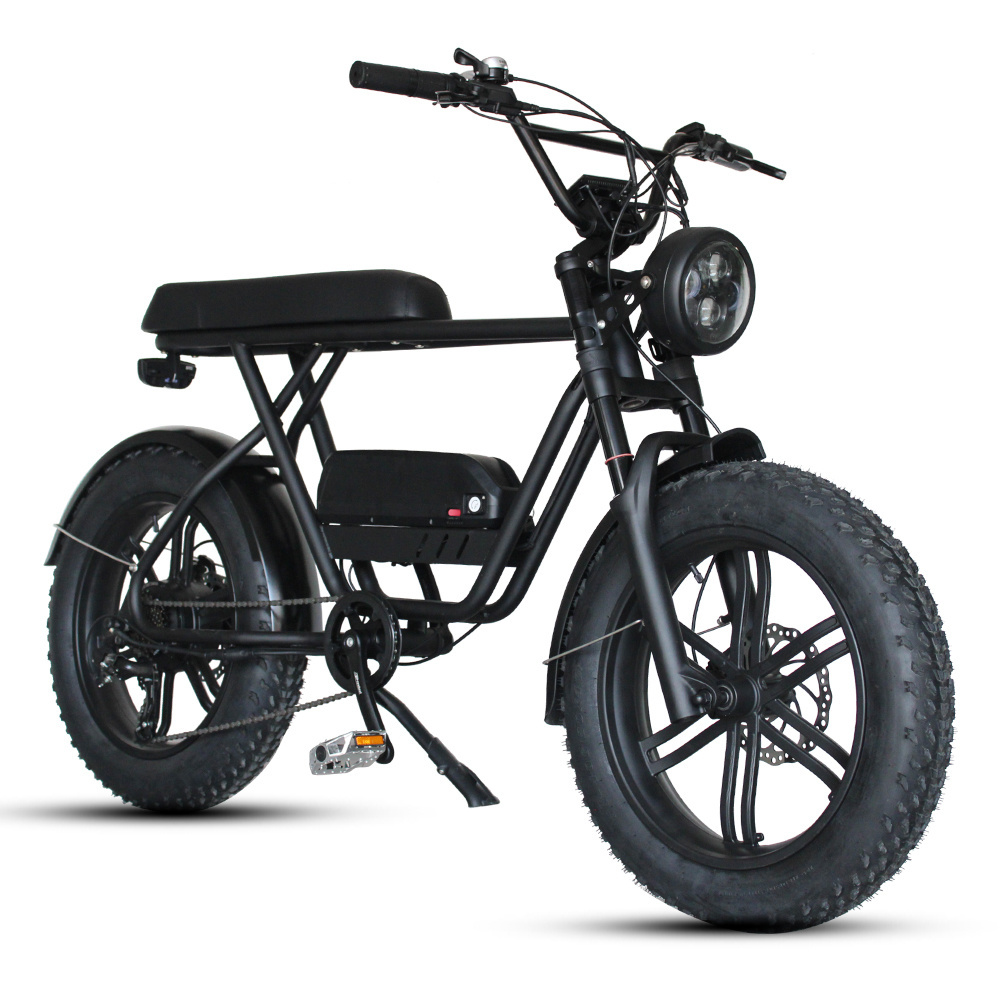 Retro Ebike Super Fat Tire 73 Ebike 48v 750w Full Suspension E bicycle for Sale