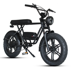 Retro Ebike Super Fat Tire 73 Ebike 48v 750w Full Suspension E bicycle for Sale