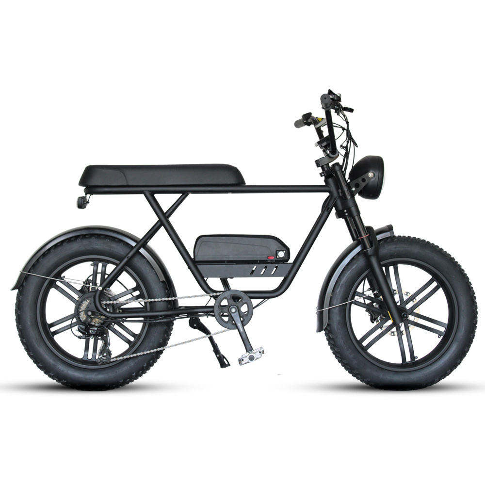 Retro Ebike Super Fat Tire 73 Ebike 48v 750w Full Suspension E bicycle for Sale