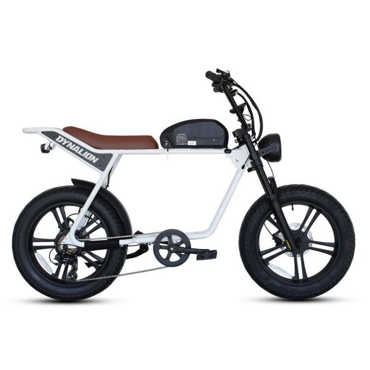 20Inch Fat Tire E-Bike 48V 16AH Electric Bike Dynalio Fat Tire Ebike Mtb