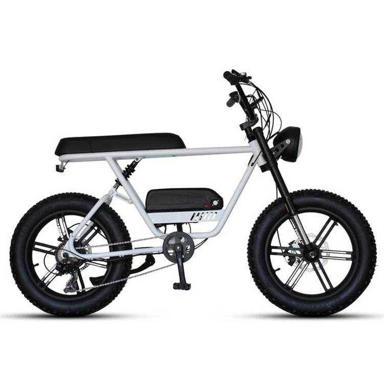 China 48v 1000w Fat Tire Ebike E Bike Cycle Bicicleta Cheap Price Assist Bike Electric Bicycle For Sale