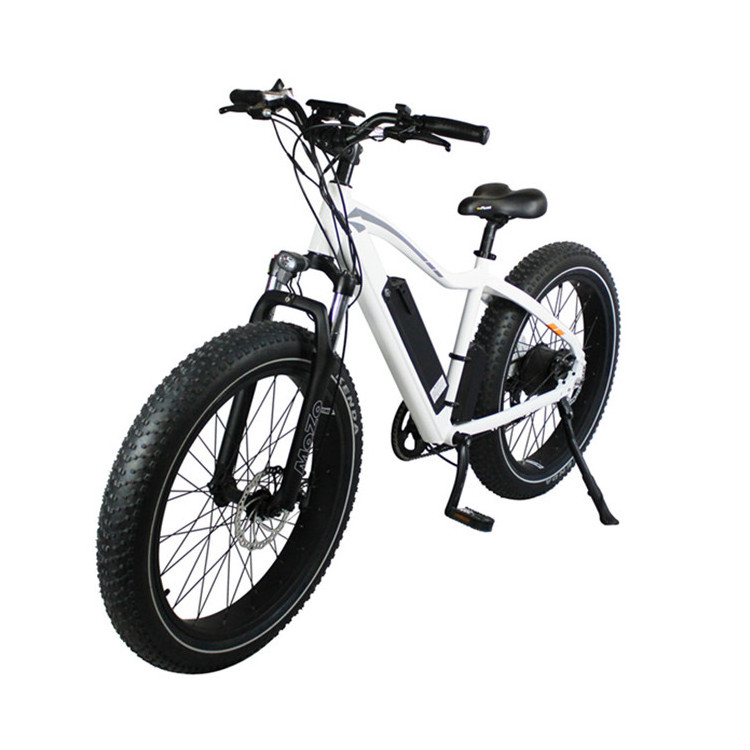 Wholesaler Aluminum Alloy  Fat Tire 48V Electric Bike Fatbike Ebike E Bicycle For Adult Man