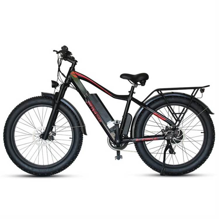 48v 750w 1000w Cheap Price Mountain Fat Tire Electric Dirt Bike 2 Seat Electric Bike Bicycle Electric