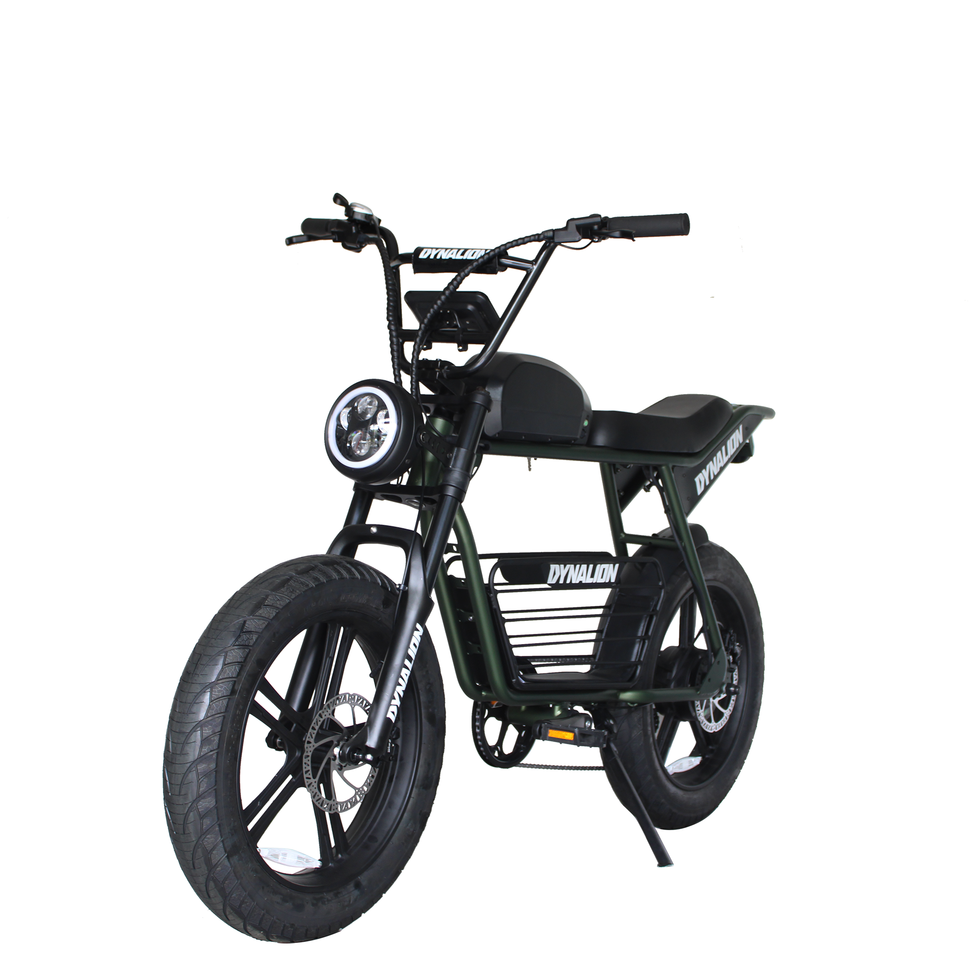 20Inch Fat Tire E-Bike 48V 16AH Electric Bike Dynalio Fat Tire Ebike Mtb