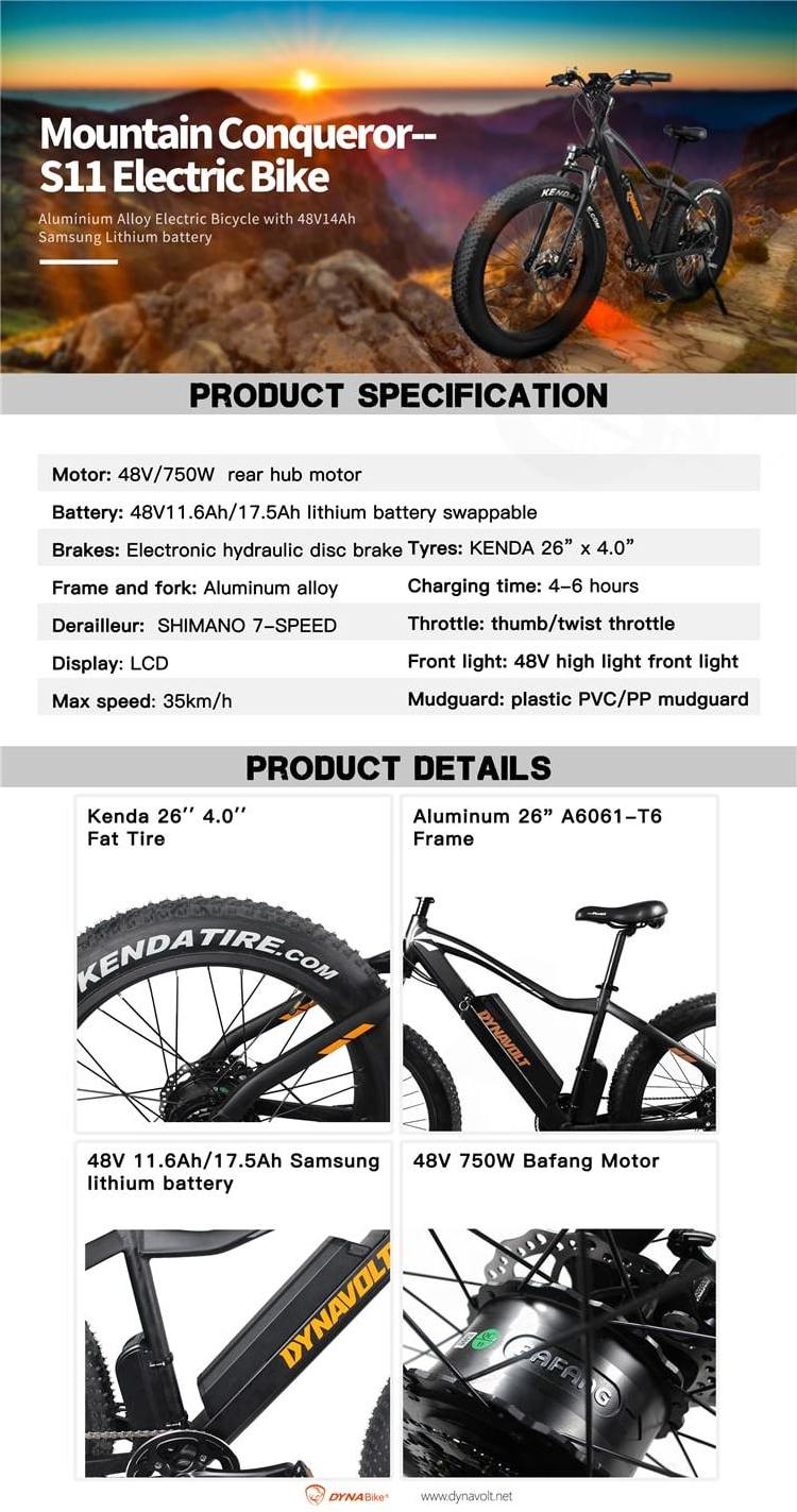 48v 750w 1000w Cheap Price Mountain Fat Tire Electric Dirt Bike 2 Seat Electric Bike Bicycle Electric