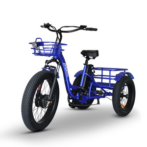 China 3 Wheel Fat Tire 750w Pedal Electric Family Bicycle E-Bike Scooter Electric Cargo Bike