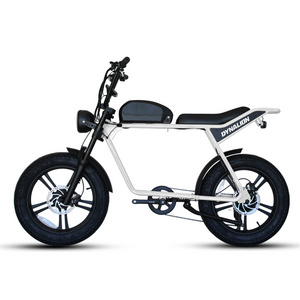 DYNALION 48V 750W fat tire dirt adult moped e ebike mtb e bike 1000w 48v dirt cheap electric bike