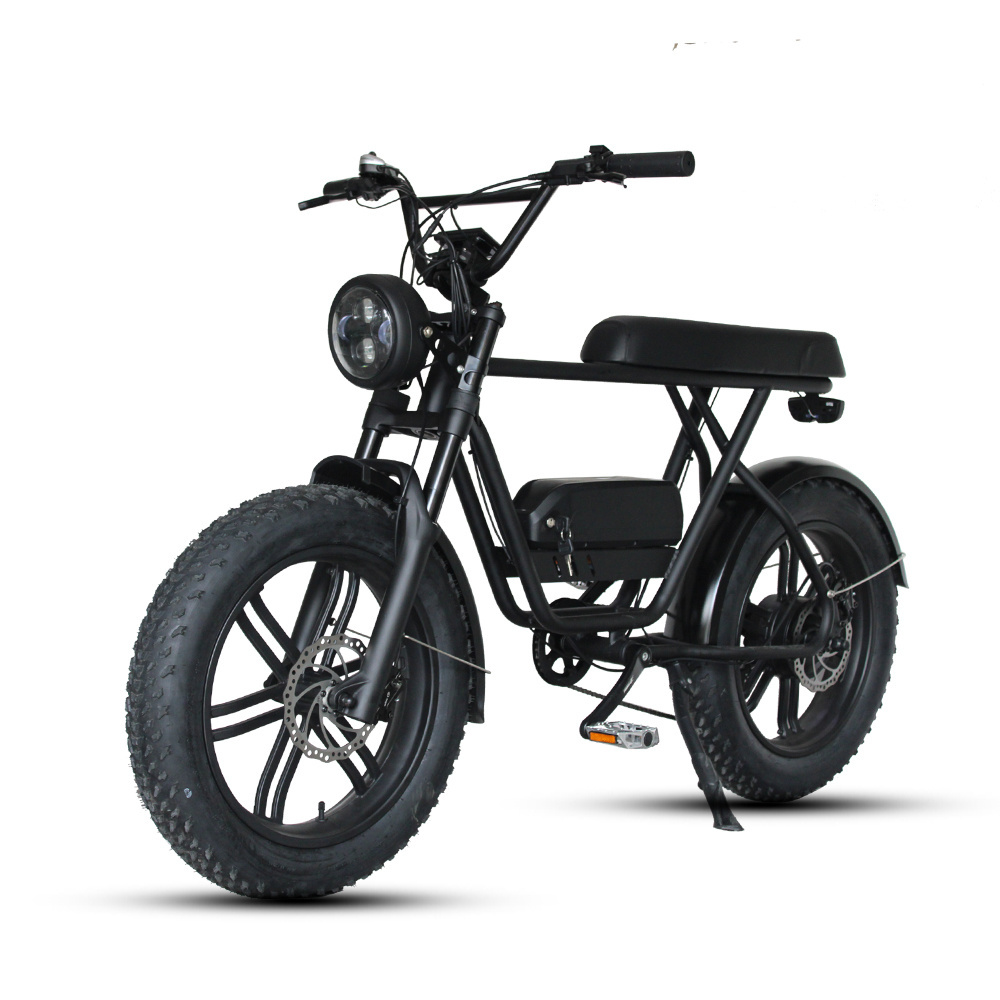 Retro Ebike Super Fat Tire 73 Ebike 48v 750w Full Suspension E bicycle for Sale