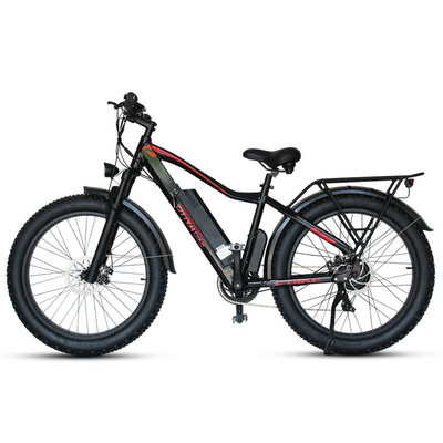 New Arrival Cheap 750W 16Ah Mountain Bike Made From China xxx pakistan china electric bike