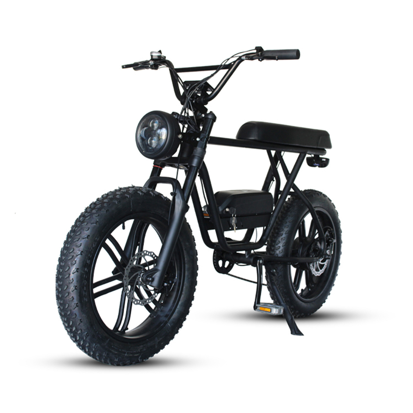 Best Price Fat Tire Ebike Mtb