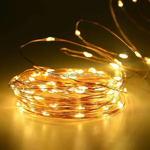 Cheap Reasonable Price Supplier Christmas Lights LED String US Plug LED 220V Plug In Ornament Light String Light