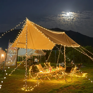 Outdoor Xmas Warm White Waterproof Battery Operated Christmas Tree Decorative Fairy Light Mini LED Globe Ball String Light