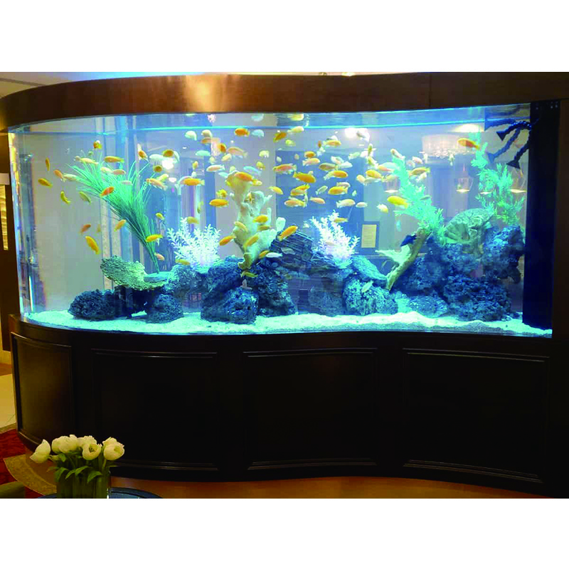 Glass factory 3-19mm Curved Glass Aquarium Manufacturers with CE and ISO9001