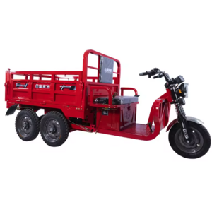 Wholesale High Quality 5 Wheels Electric Cargo Tricycle 1600W 1800W Cargo Motorcycle Rickshaw E Trike Mini Truck for Adult