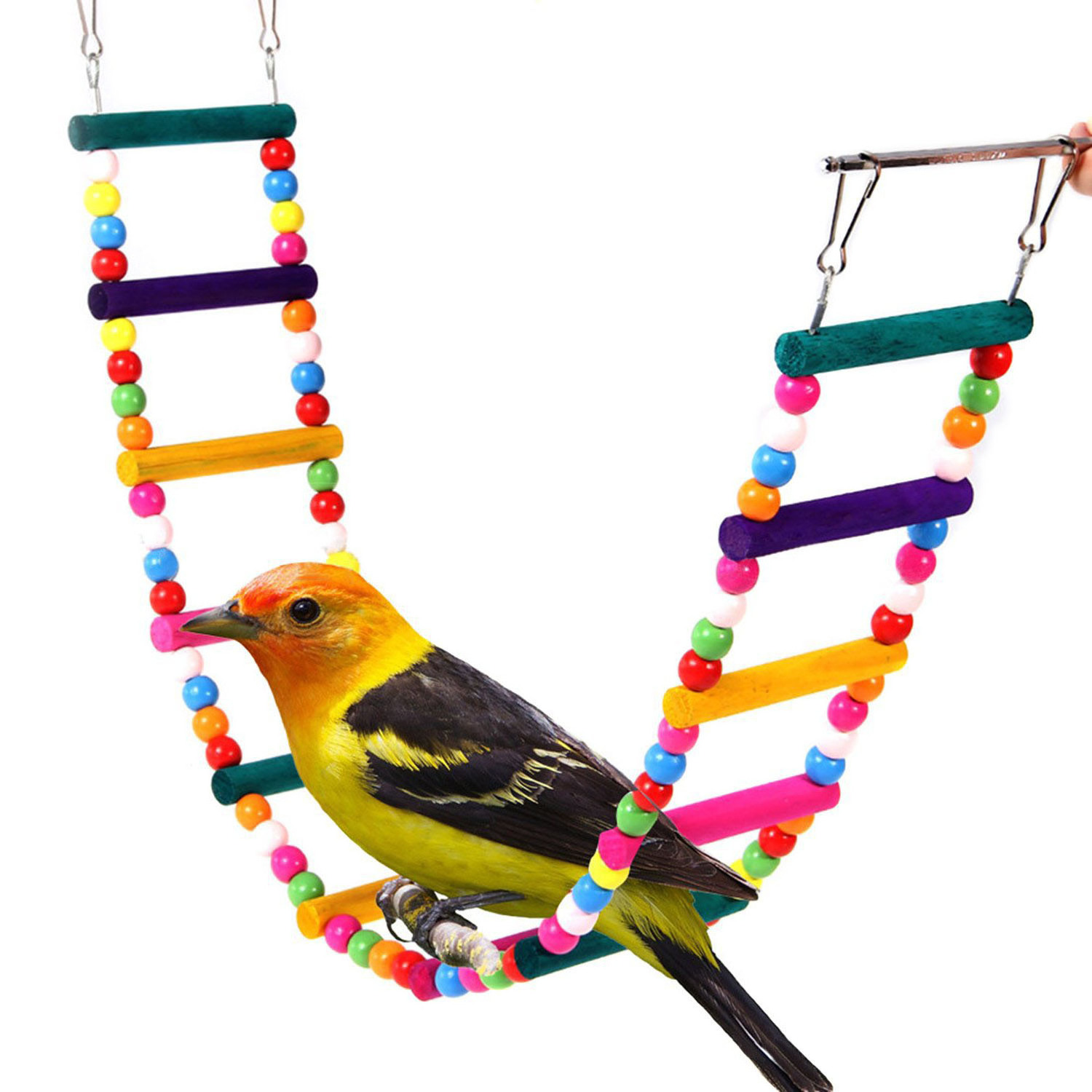 Bird Ladder Toys Coloured Parrot Swing Bridge Wooden Cockatiel Cage Hanging Climbing Ladder