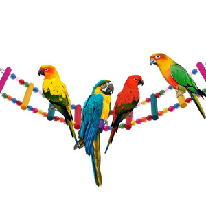 Bird Ladder Toys Coloured Parrot Swing Bridge Wooden Cockatiel Cage Hanging Climbing Ladder