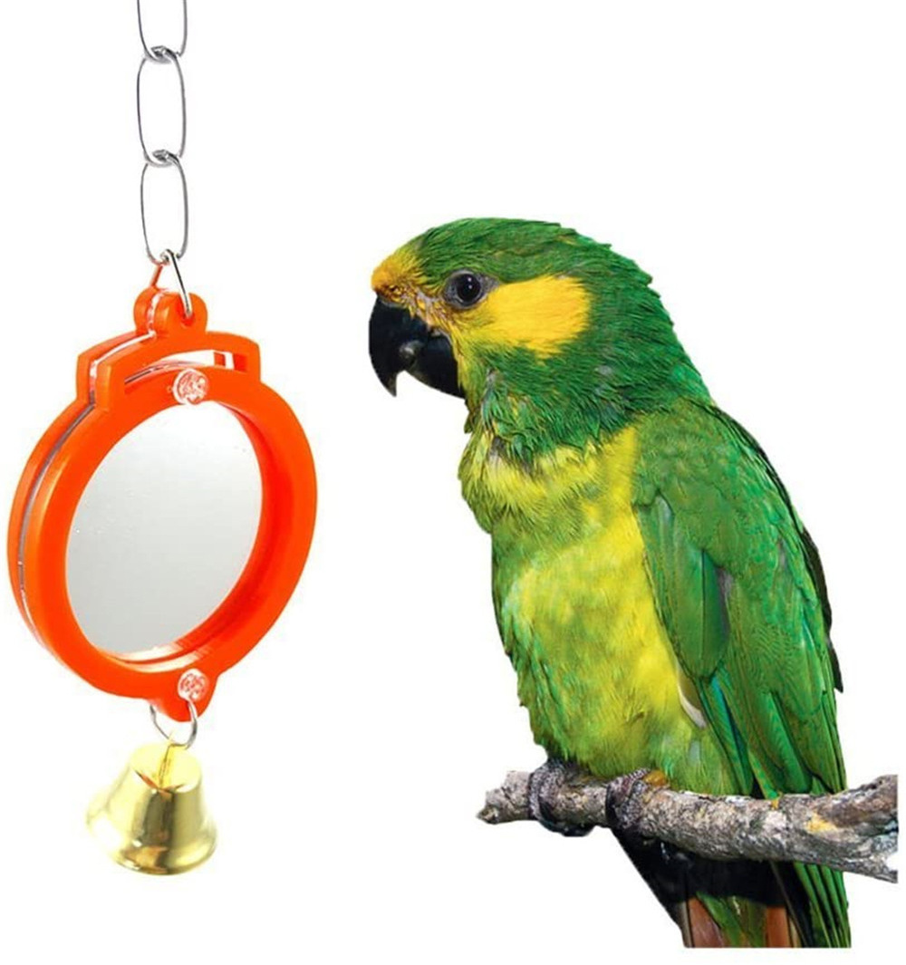 Pet Bird Mirror with Bell Interactive Treat Puzzle Parrot Toy Bird Cage Mirror Small Bird Swing Chew Toys Fun Cage Accessories