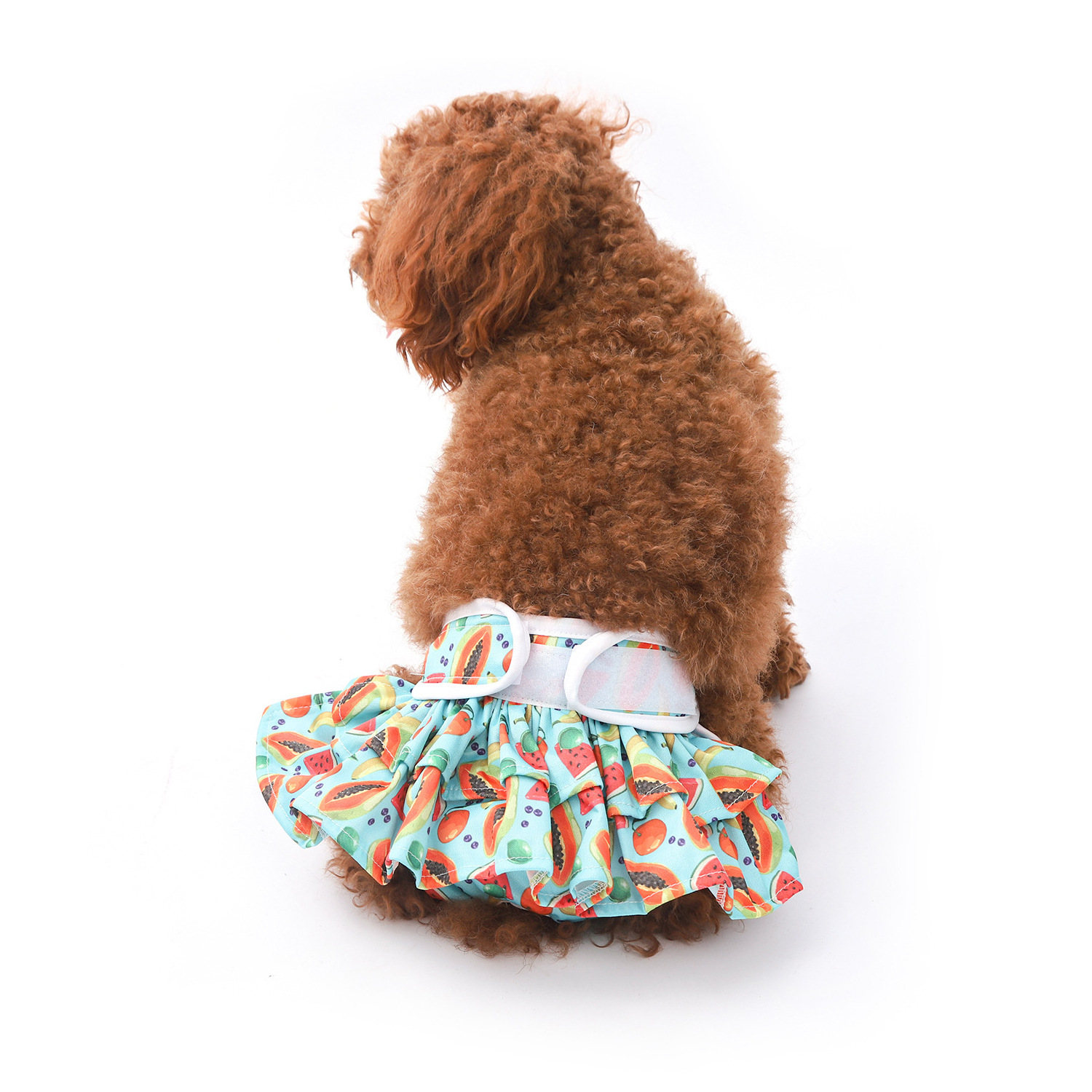 Dog Physiological Pant Washable Female Dog Belly Band Wrap Waterproof Pet Diaper Toilet Training Short Female Dog Pants