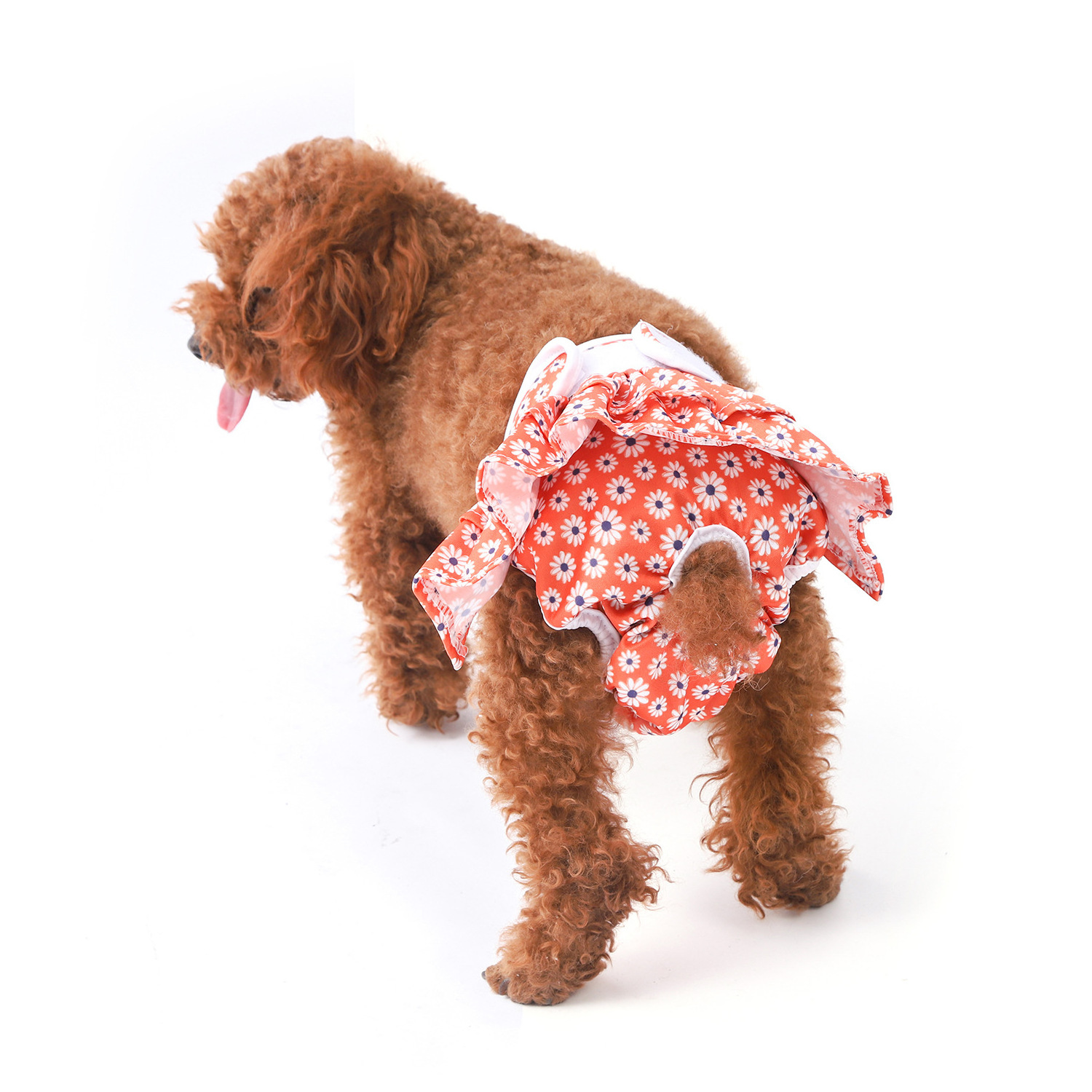 Dog Physiological Pant Washable Female Dog Belly Band Wrap Waterproof Pet Diaper Toilet Training Short Female Dog Pants