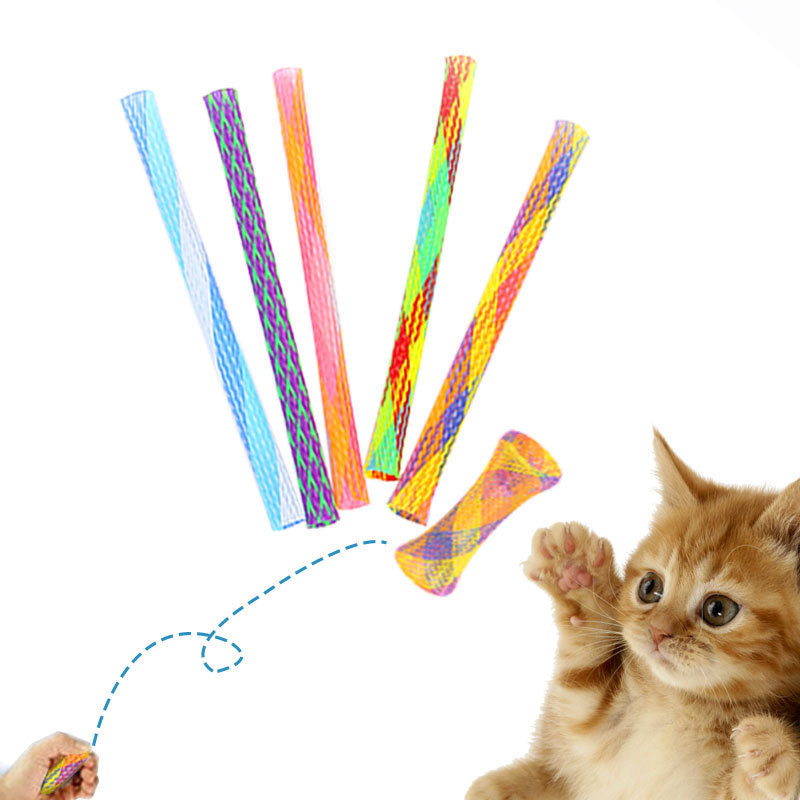 Cat Interactive Teaser Spring  funny Nylon  Interactive Sport Cat Toy Pet Dog  Playing Cleaning Teeth Spring Toy For Outdoor