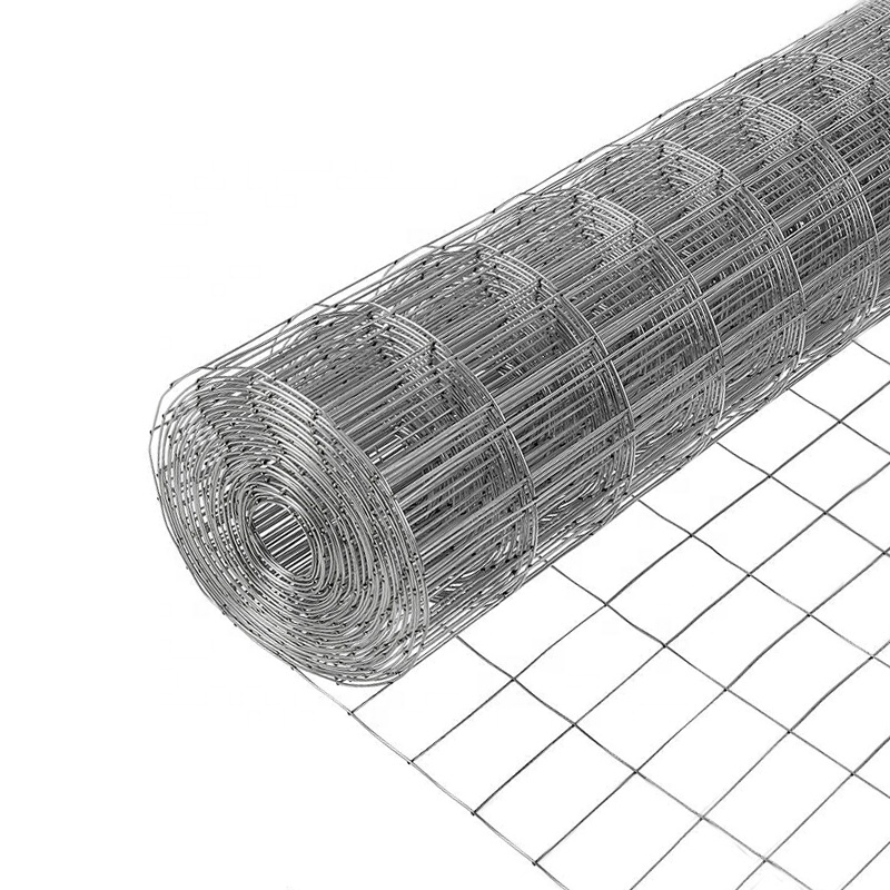 For Animal Cage Galvanized Welded Wire Mesh Roll 16 Gauge Plain Weave Welded Fencing Mesh