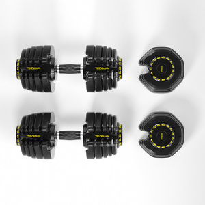 China Factory 2022 Popular Cheap Iron 80 adjustable dumbbell 80lbs With Rack dombells dumbbell set