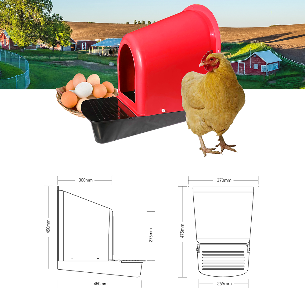 Design Modern Poultry Farm House Chicken Laying Nest Box Plastic Egg Nest Box for Sale on Discount Europe Style