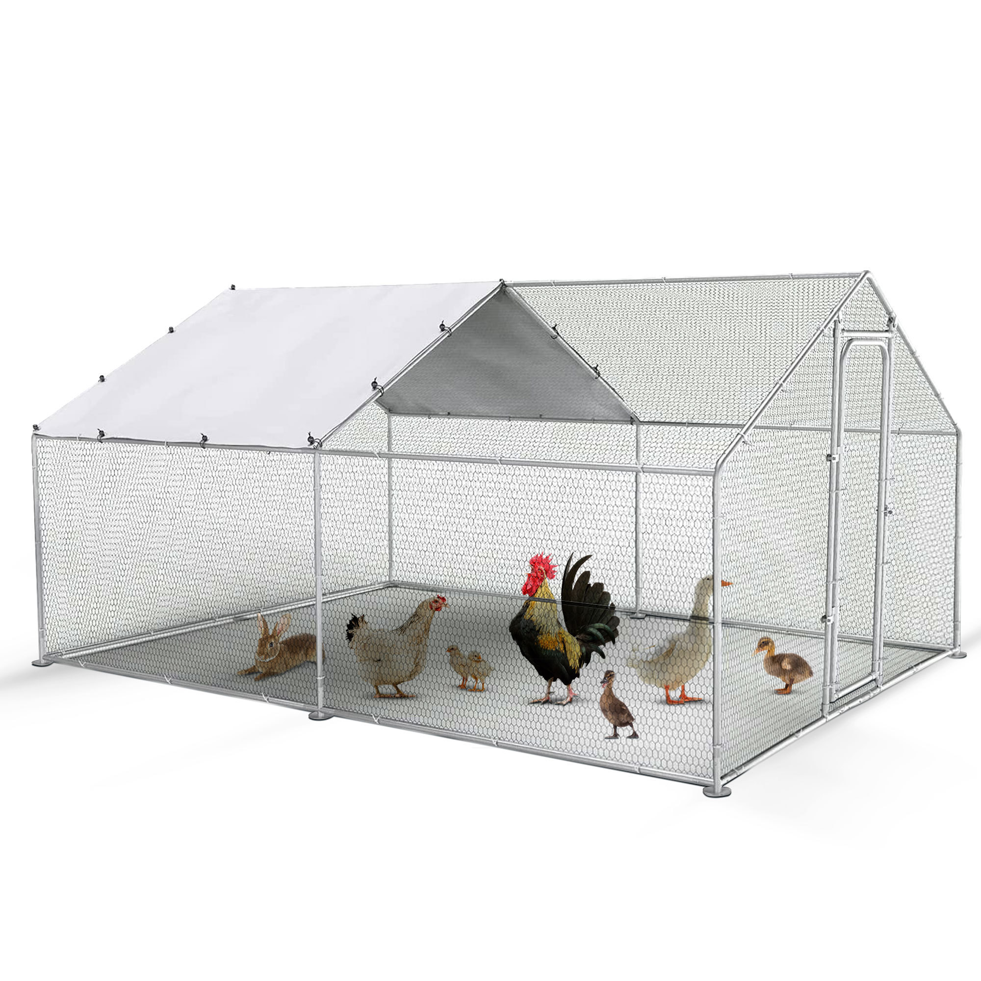 Hexagonal Wire Mesh Poultry Coop Portable Metal Pipe Chicken Coop CTG02 Des Champs China Shandong Chicken Raising Equipment