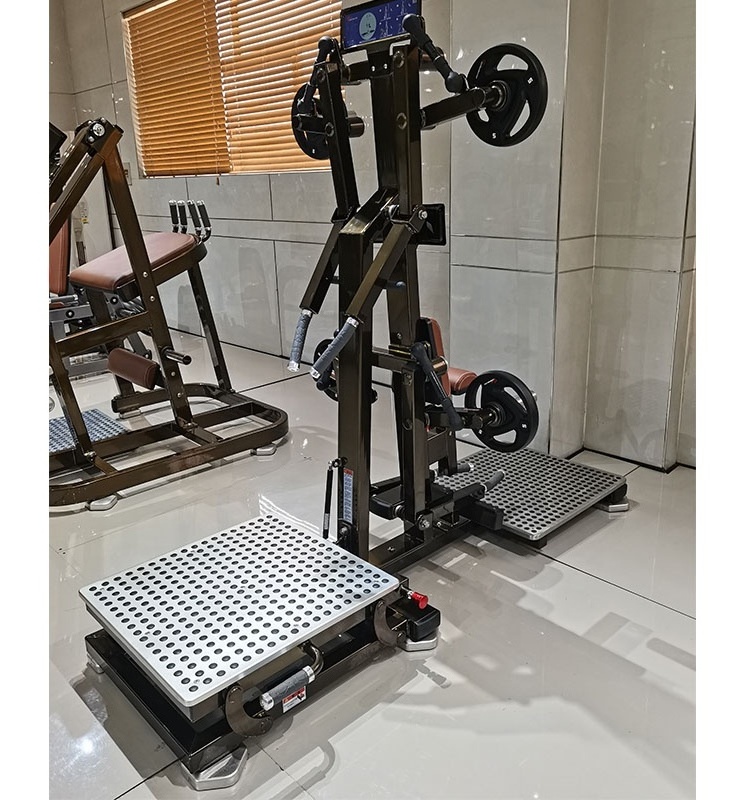 Multi functional Realleader fitness gym equipment plate loaded Lateral Raise/Rear Deltoid Machine