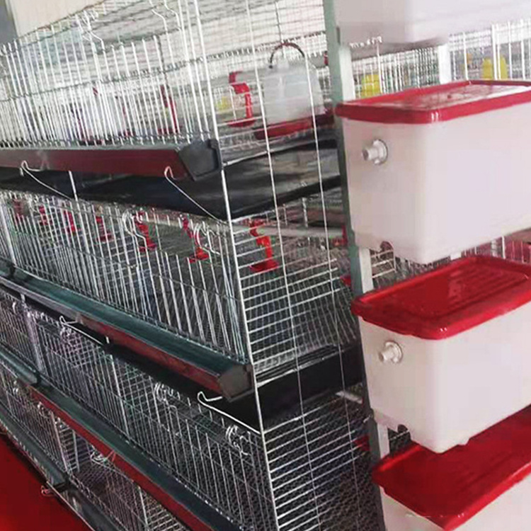 Cold Dip Galvanized 4 Layer Small Chick Breeding Cage Automatic Chicken Cage For Sale