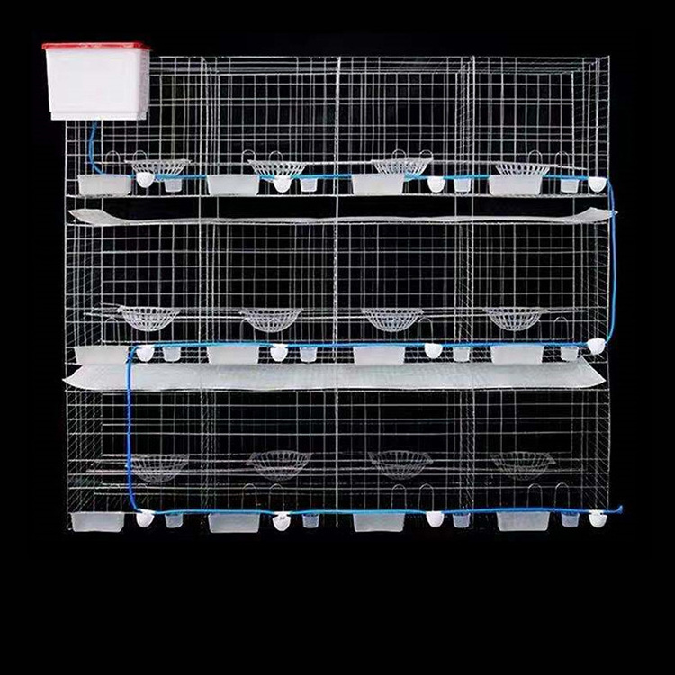 High Quality Pigeon Cage Breeding With Pigeon Accessories For Sale