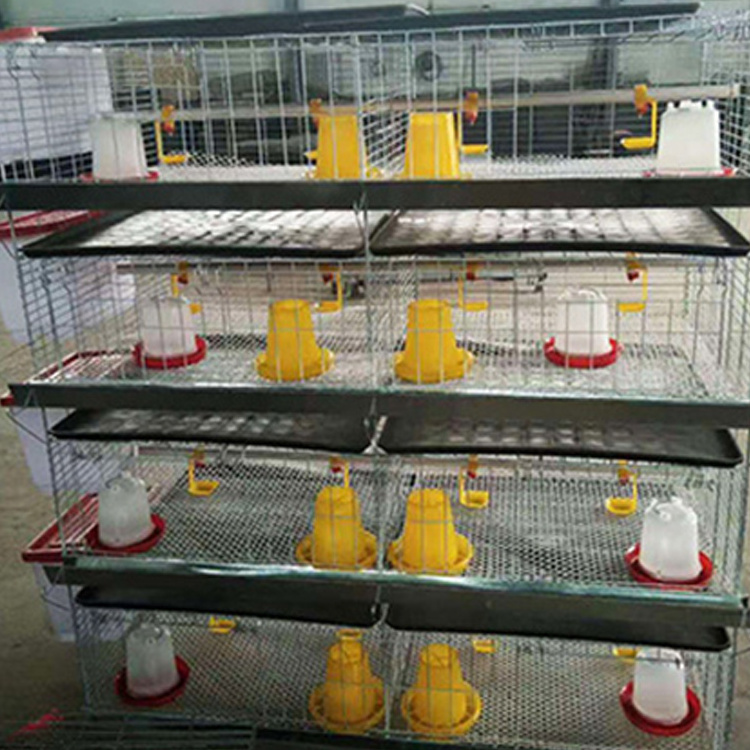 Cold Dip Galvanized 4 Layer Small Chick Breeding Cage Automatic Chicken Cage For Sale