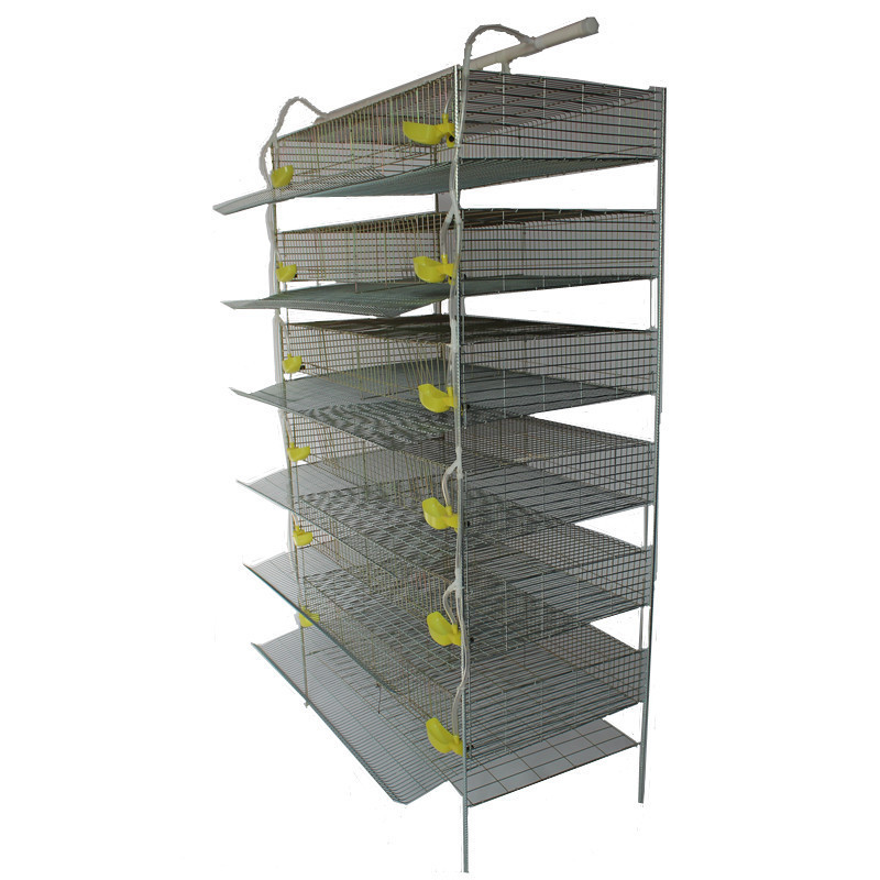 Poultry Farming Quail Brooder Cage Quail Cages For Egg Production Quail Cages For Sale